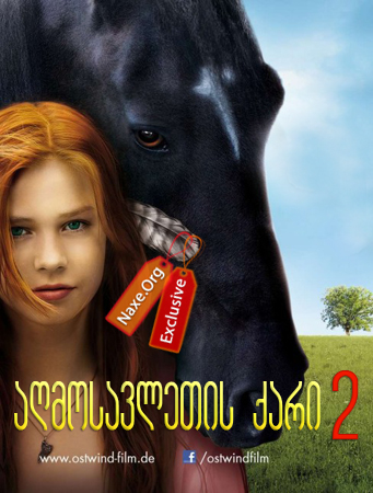 აღმოსავლეთის ქარი 2 / Ostwind 2