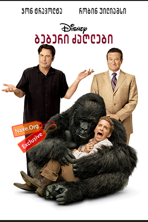 ბებერი ძაღლები / beberi zaglebi