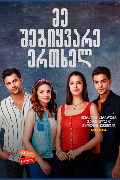 მე შეგიყვარე ერთხელ / Sevdim Seni Bir Kere