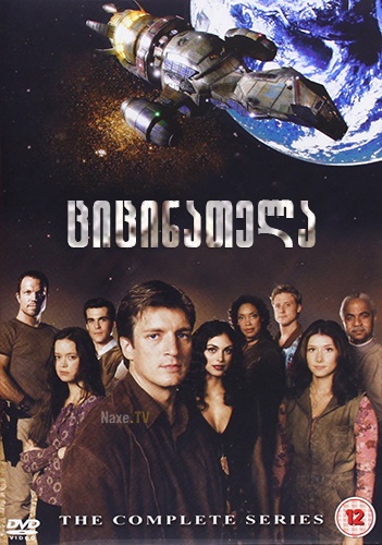 ციცინათელა / Firefly