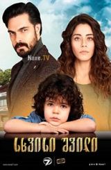 სხვისი შვილი / Emanet (Legacy)