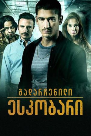 გადარჩენილი ესკობარი / Alias J.J.