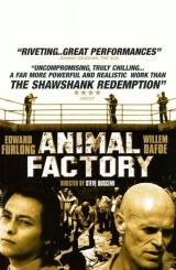 ცხოველების ფაბრიკა / Animal Factory