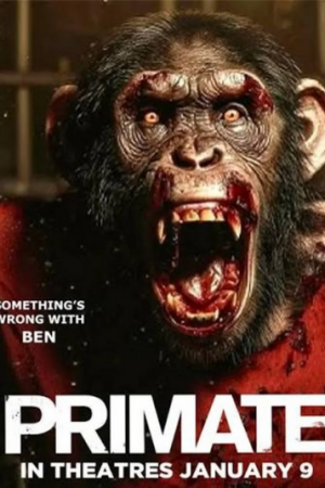 პრიმატი / Primate