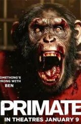 პრიმატი / Primate