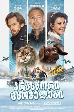 არასწორი ცხოველები (ქართულად) / Cat and Dog 2024