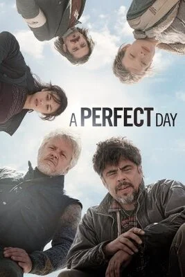 იდეალური დღე (ქართულად) / A Perfect Day 2015 /