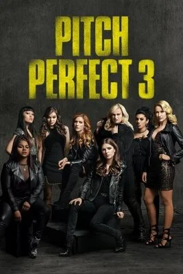 იდეალური ხმა 3 (ქართულად) / Pitch Perfect 3 2017