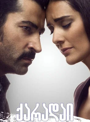 ქარადაი (ქართულად) / Karadayı 2012 / karadai