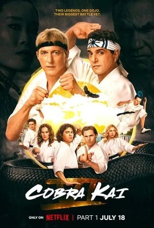 კობრა კაი (ქართულად) / Cobra Kai 2018 / kobra_kai