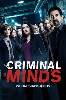 კრიმინალური აზროვნება (ქართულად) / Criminal Minds