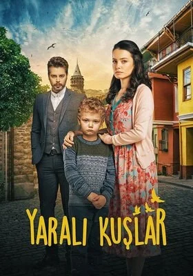 მოგონებების ზარდახშა (ქართულად) / Yaralı Kuşlar