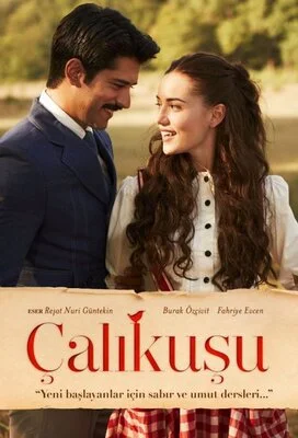 ნარჩიტა (ქართულად) / Çalıkuşu 2013 / narchita