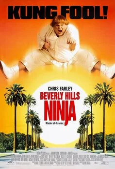 ნინძა ბევერლი ჰილზიდან (ქართულად) / Beverly Hills