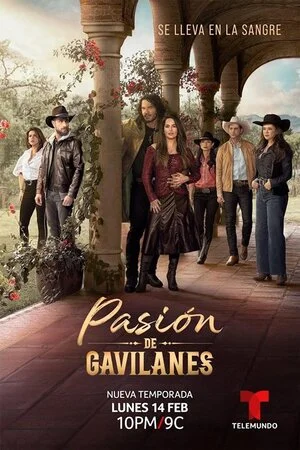 ფარული ვნება 2 (ქართულად) / Pasión de Gavilanes 2