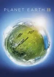 პლანეტა დედამიწა 2 (ქართულად) / Planet Earth II