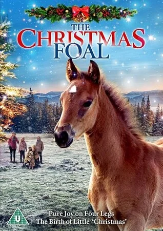საშობაო კვიცი (ქართულად) / The Christmas Colt