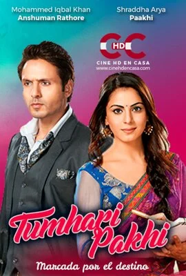 შენ მხოლოდ შენ (ქართულად) / Tumhari Paakhi 2013 /
