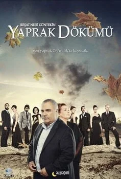 სტამბოლის ცა (ქართულად) / Yaprak Dökümü 2006 /